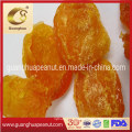 High Quality Dried Apricots with Ce